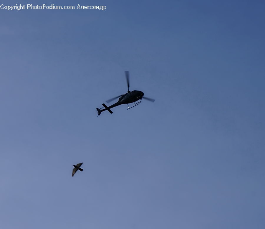 Aircraft, Airliner, Flight, Airplane, Warplane, Adventure, Gliding