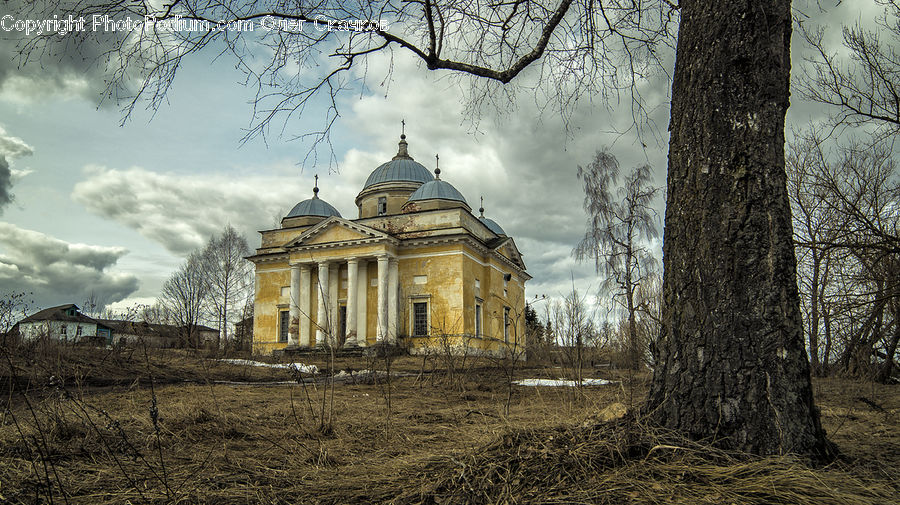 Architecture, Mansion, Plant, Tree, Oak, Wood, Dome