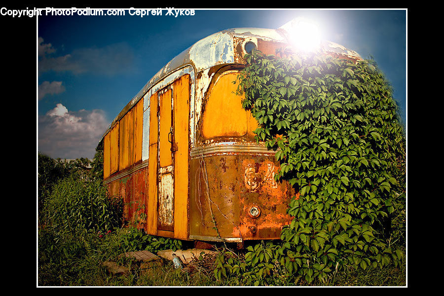 Plant, Potted Plant, Brick, Ground, Soil, Caravan, Van