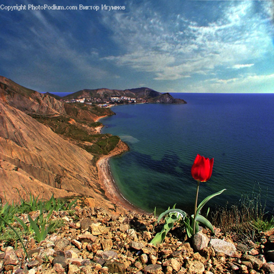 Landslide, Coast, Outdoors, Sea, Water, Promontory, Landscape