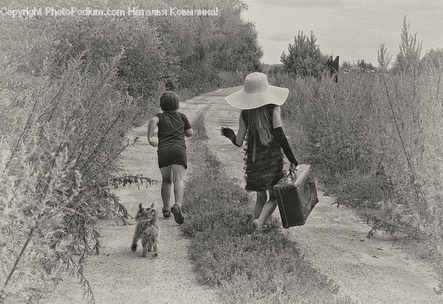 Human, People, Person, Luggage, Suitcase, Countryside, Outdoors