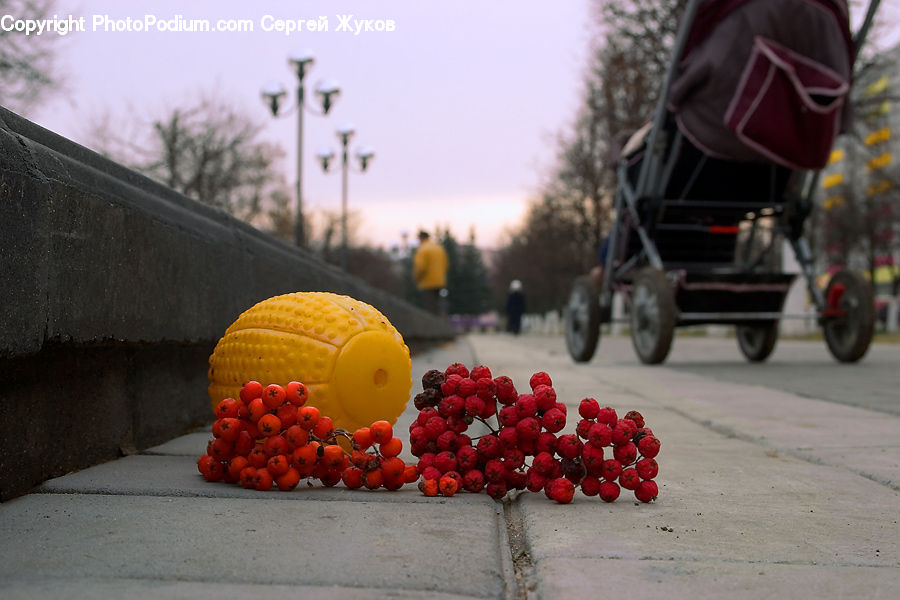Motor, Motorcycle, Vehicle, Fruit, Raspberry, Stroller, Bowl