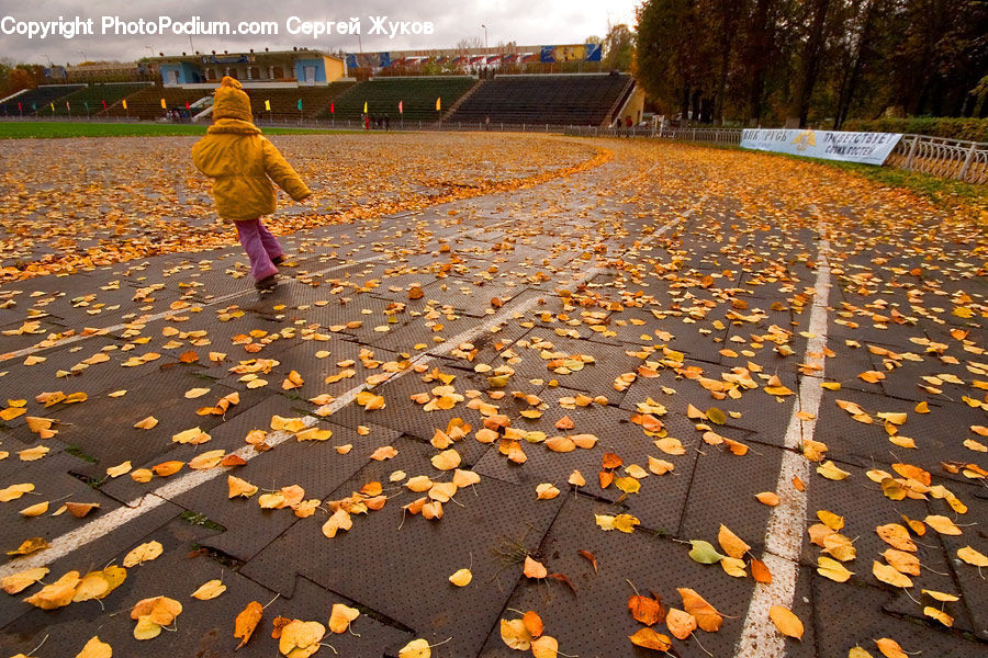 Clothing, Coat, Jacket, Raincoat, Soil, Boardwalk, Path