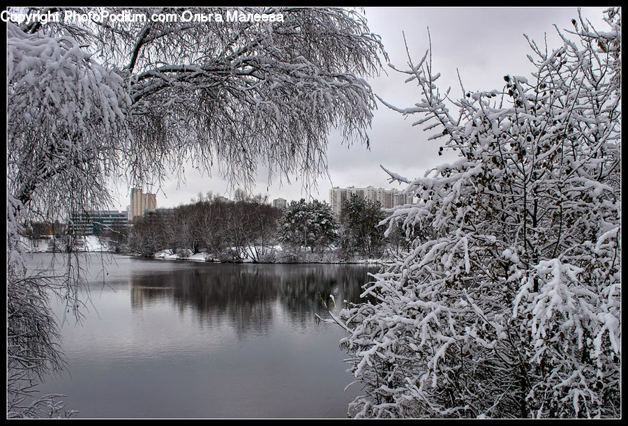 Frost, Ice, Outdoors, Snow, Landscape, Nature, Scenery