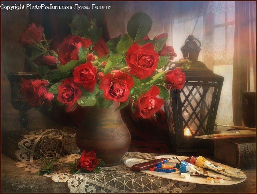 People, Person, Human, Blossom, Flower, Plant, Rose