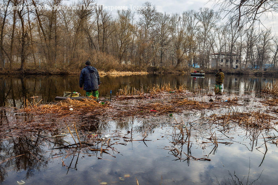 Land, Marsh, Outdoors, Swamp, Water, Plant, Tree
