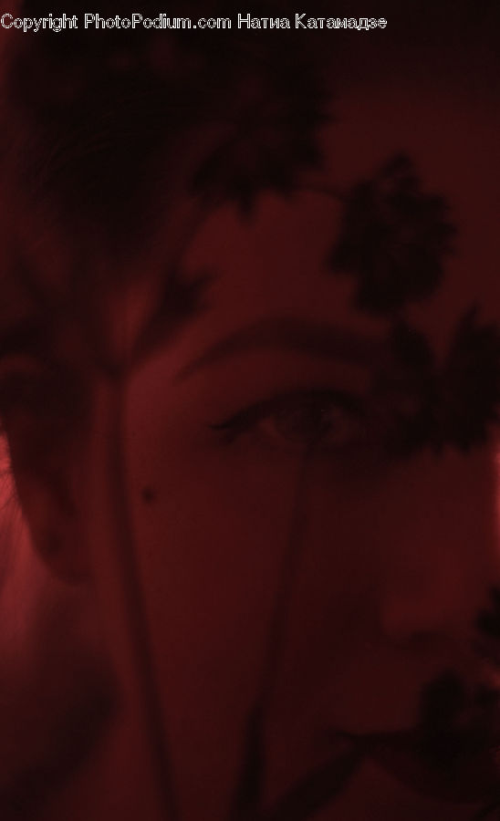 Face, Head, Portrait