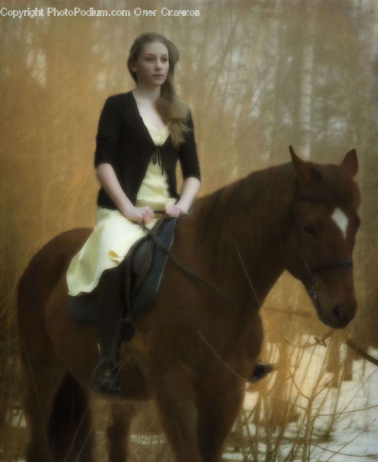 People, Person, Human, Animal, Equestrian, Horse, Female
