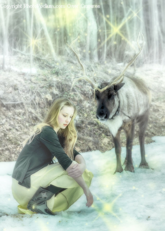 People, Person, Human, Blonde, Female, Woman, Animal