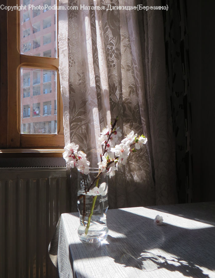 Plant, Potted Plant, Home Decor, Linen, Tablecloth, Dining Room, Indoors