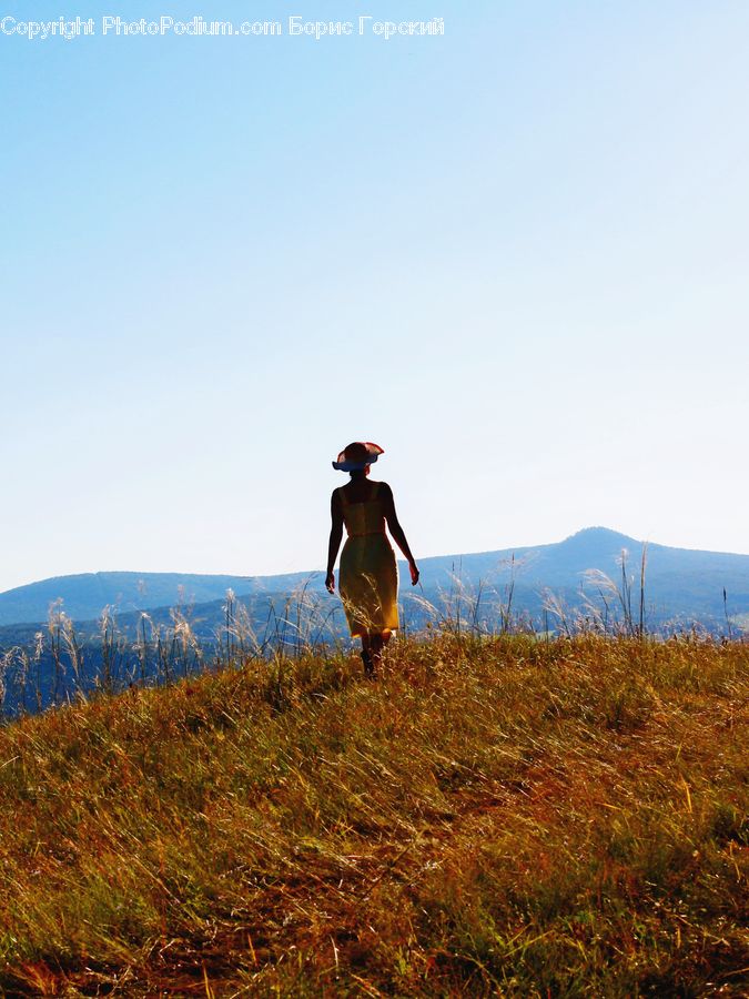 Field, Grass, Grassland, Land, Outdoors, Hiking, Leisure Activities