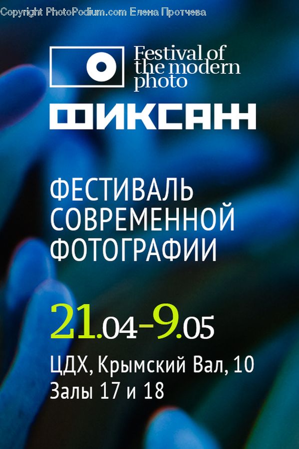 Brochure, Flyer, Poster