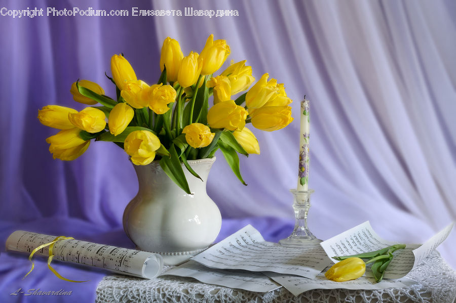 Jar, Porcelain, Vase, Glass, Goblet, Flower, Flower Arrangement