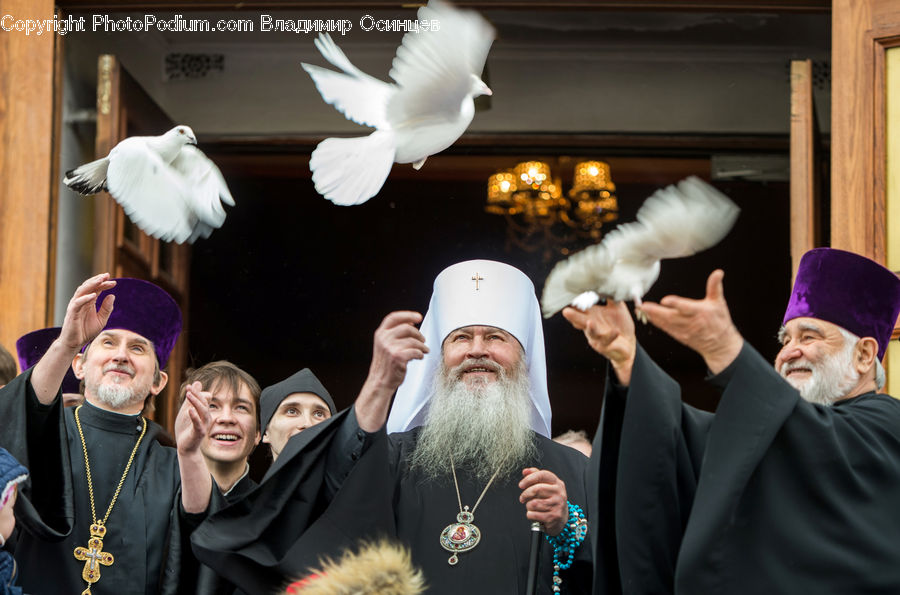People, Person, Human, Bird, Dove, Pigeon, Seagull