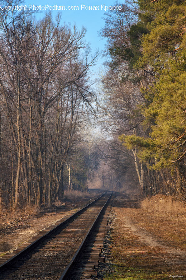 Rail, Train Track, Dirt Road, Gravel, Road