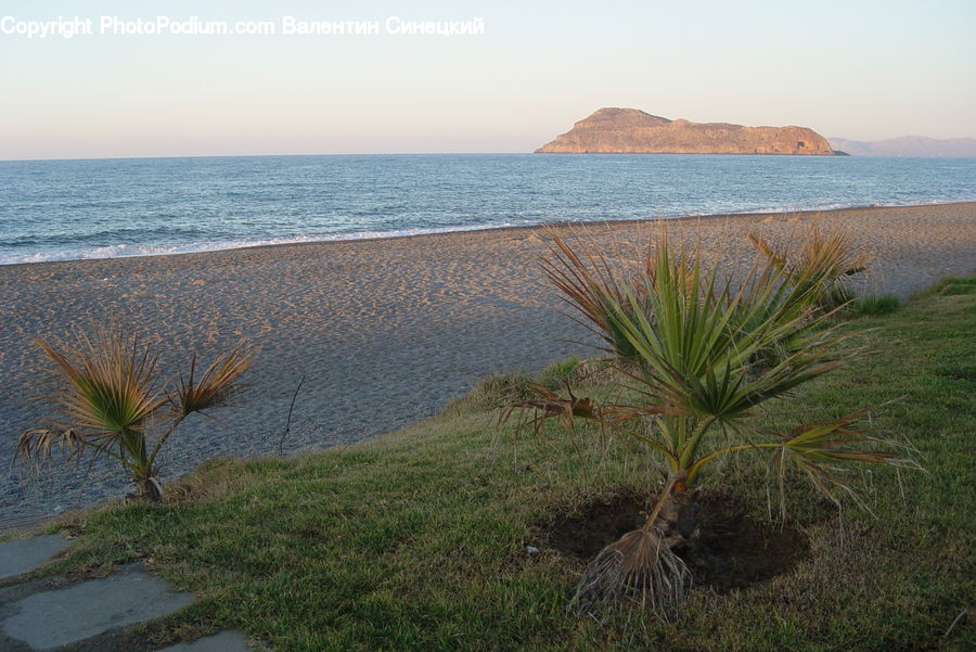 Beach, Coast, Outdoors, Sea, Water, Landscape, Nature