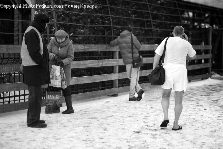 Human, People, Person, Bench, Shorts, Tourist, Brick