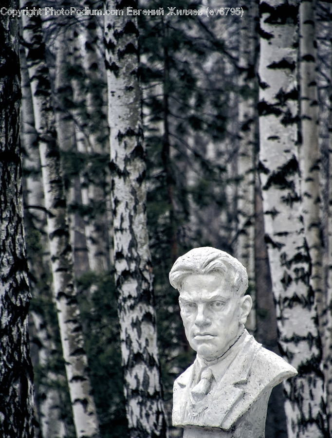People, Person, Human, Art, Sculpture, Statue, Birch