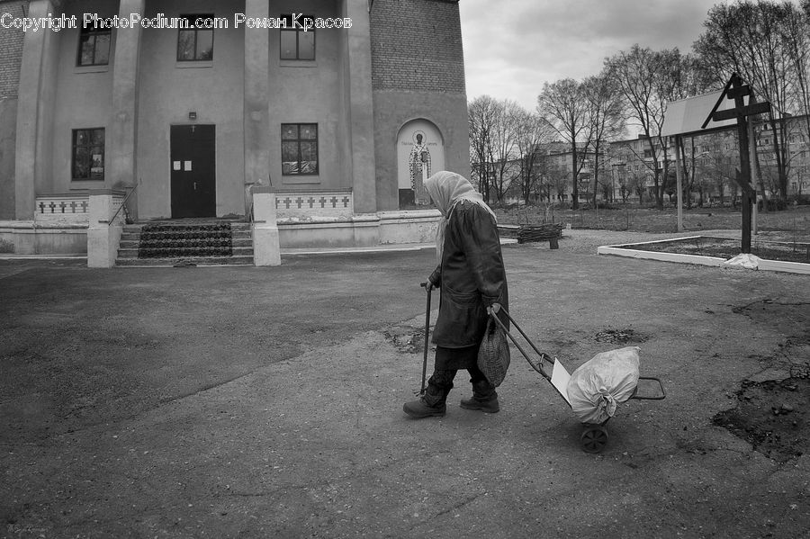Human, People, Person, Backpack, Bag, Stick, Plant