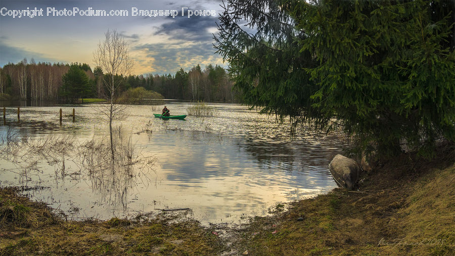 Outdoors, Pond, Water, Land, Marsh, Swamp, Field