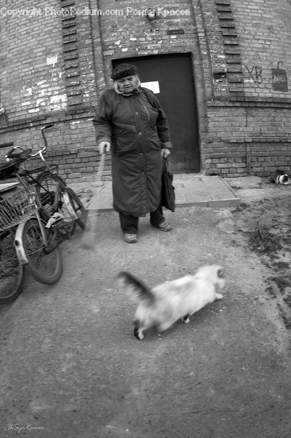 Human, People, Person, Bicycle, Bike, Vehicle, Alley