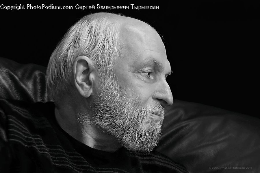 People, Person, Human, Portrait, Head