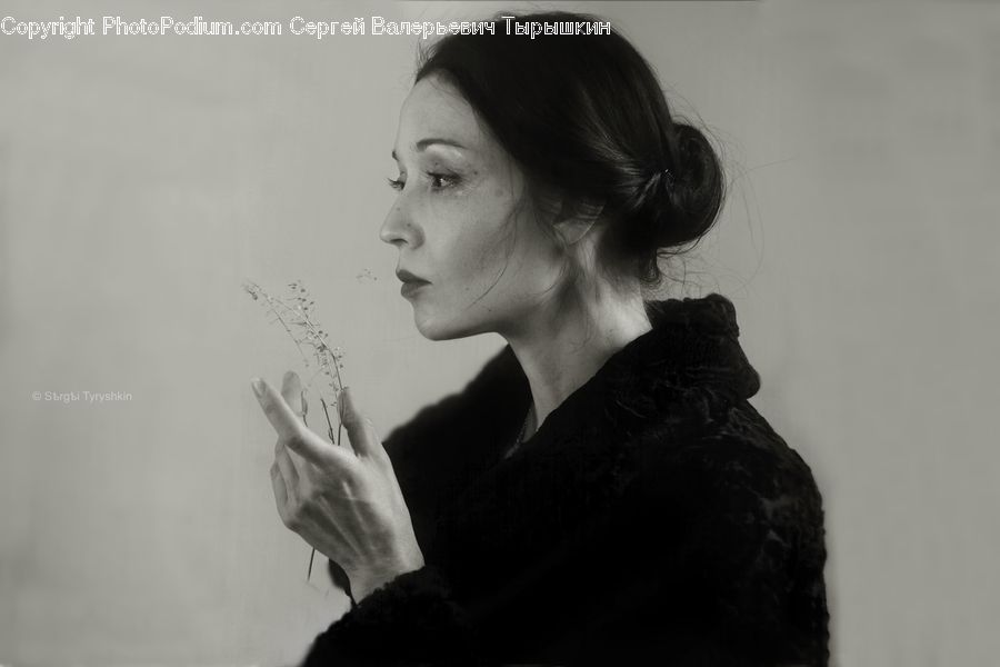 Human, People, Person, Portrait, Female, Woman