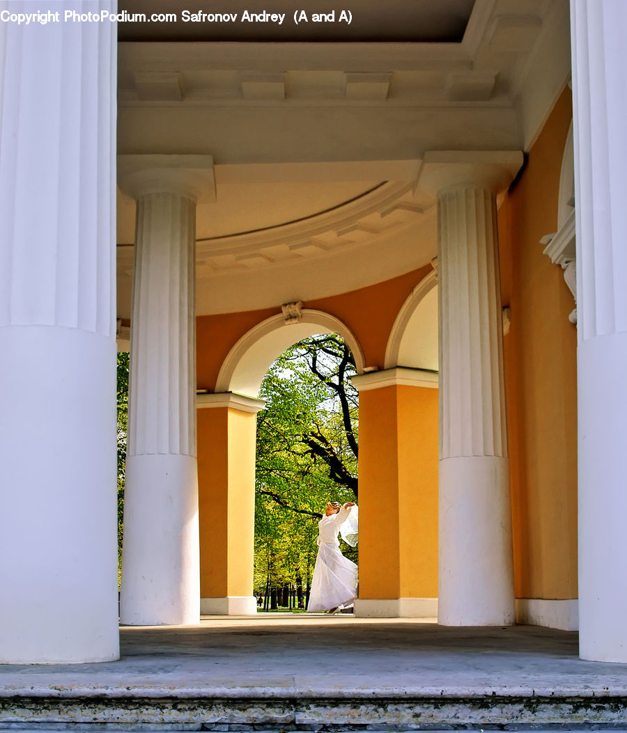Arch, Column, Pillar, Window, Building, Housing