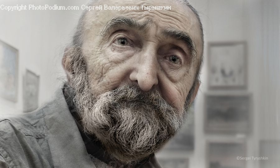 Beard, Hair, Person, Portrait, Face