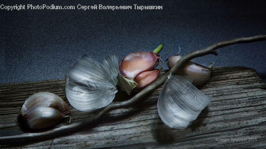 Garlic, Plant, Produce, Vegetable, Onion, Shallot