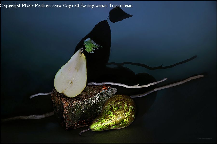 Bait, Fishing Lure, Garlic, Plant, Flower Arrangement, Ikebana, Potted Plant