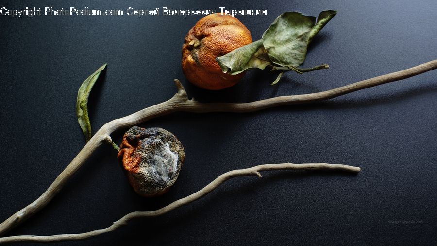 Produce, Vegetable, Garlic, Plant, Food, Bowl, Flower Arrangement