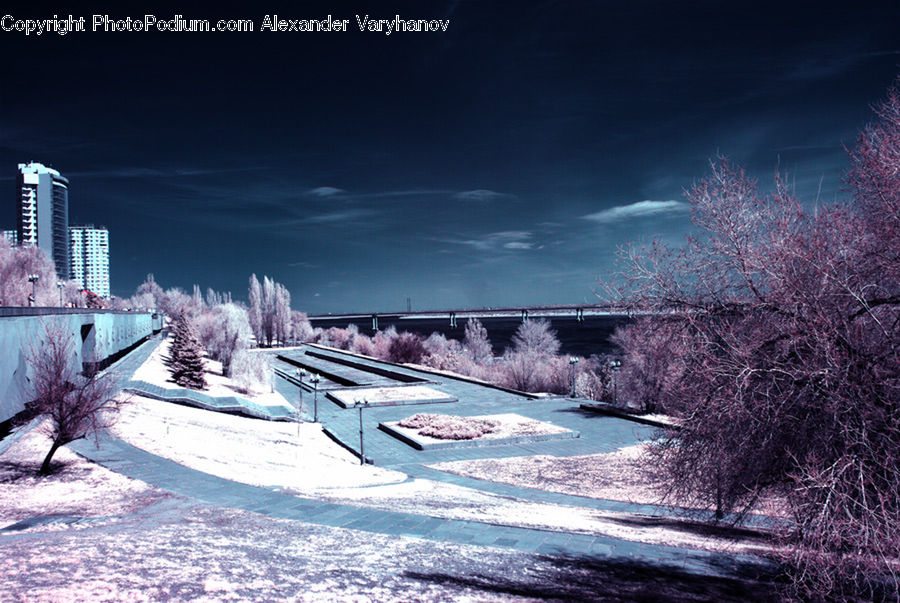 Plant, Tree, Frost, Ice, Outdoors, Snow, Boat