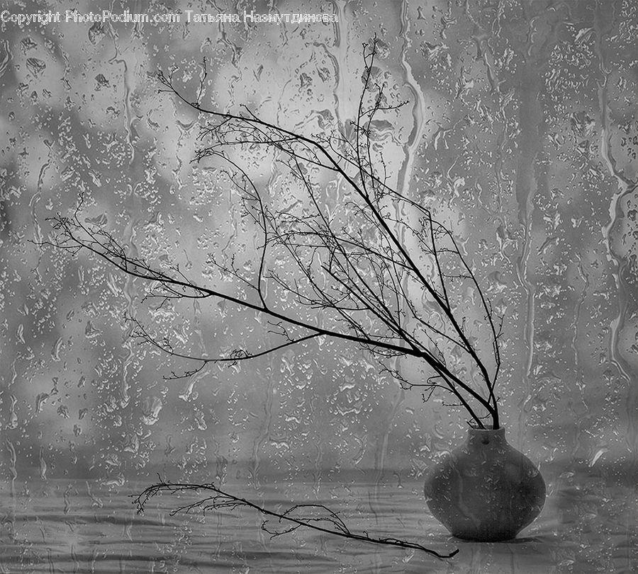 Plant, Tree, Water, Oak, Wood, Blossom, Flora