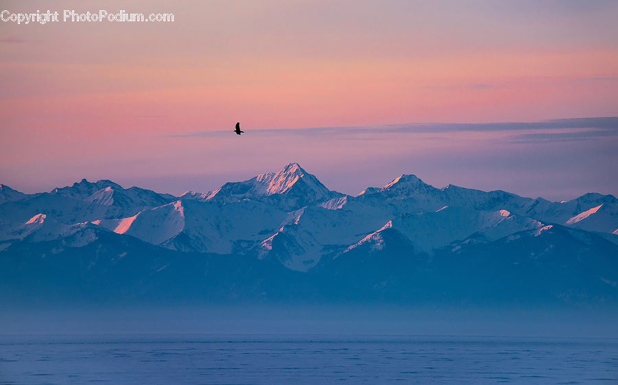 Arctic, Glacier, Ice, Mountain, Outdoors, Snow, Dawn