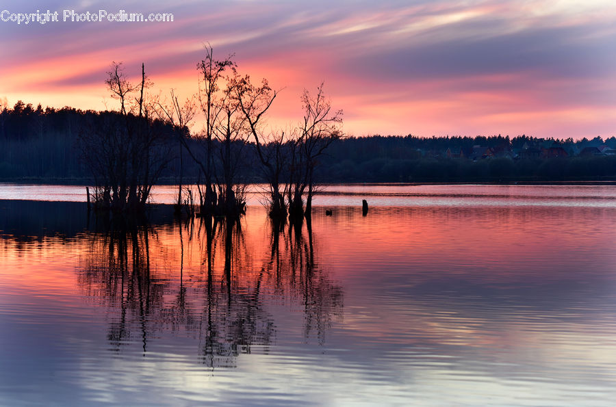 Dawn, Dusk, Red Sky, Sky, Sunrise, Sunset, Outdoors