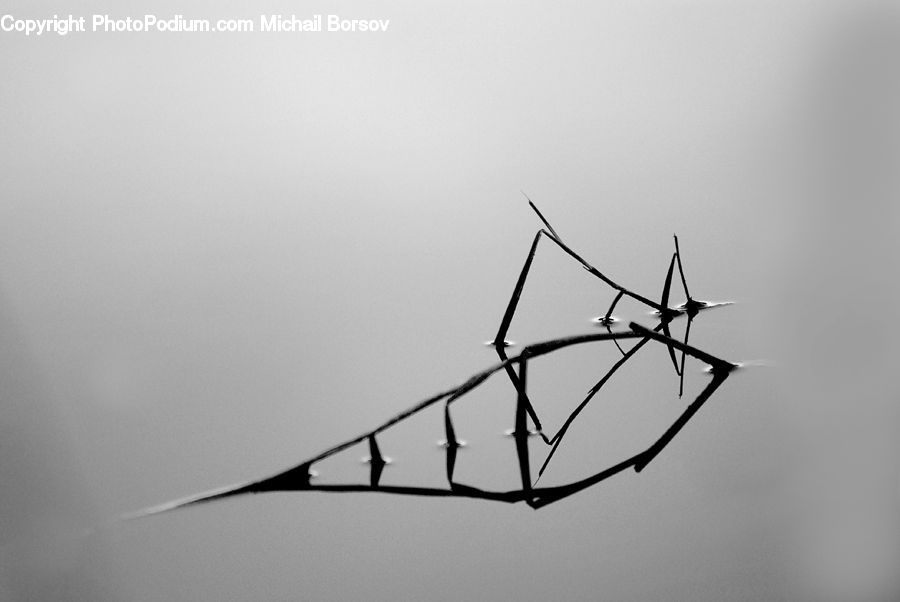 Wire