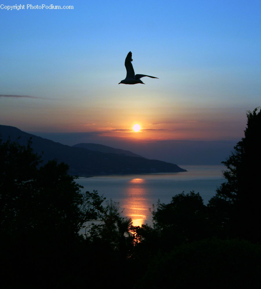 Dusk, Outdoors, Sky, Sunlight, Sunrise, Sunset, Leisure Activities