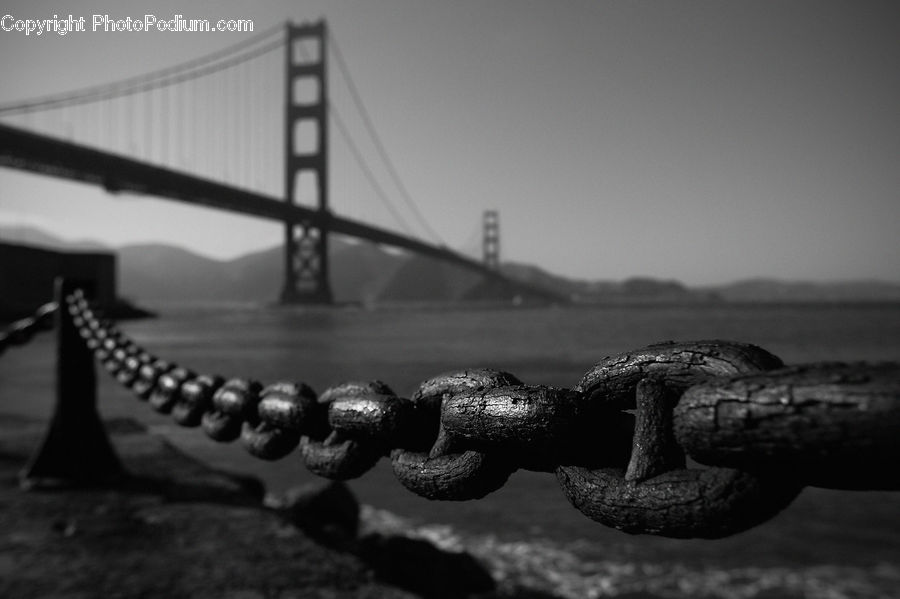Bridge, Acorn, Plant, Seed, Rock, City, Downtown