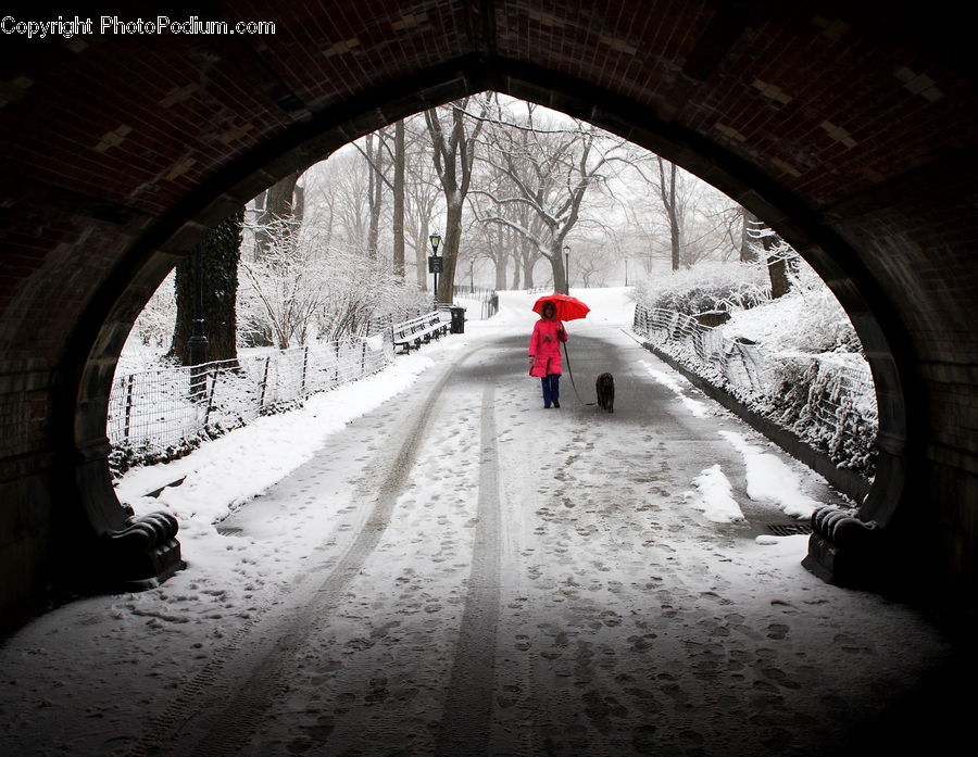 Tunnel, Dirt Road, Gravel, Road, Alley, Alleyway, Street
