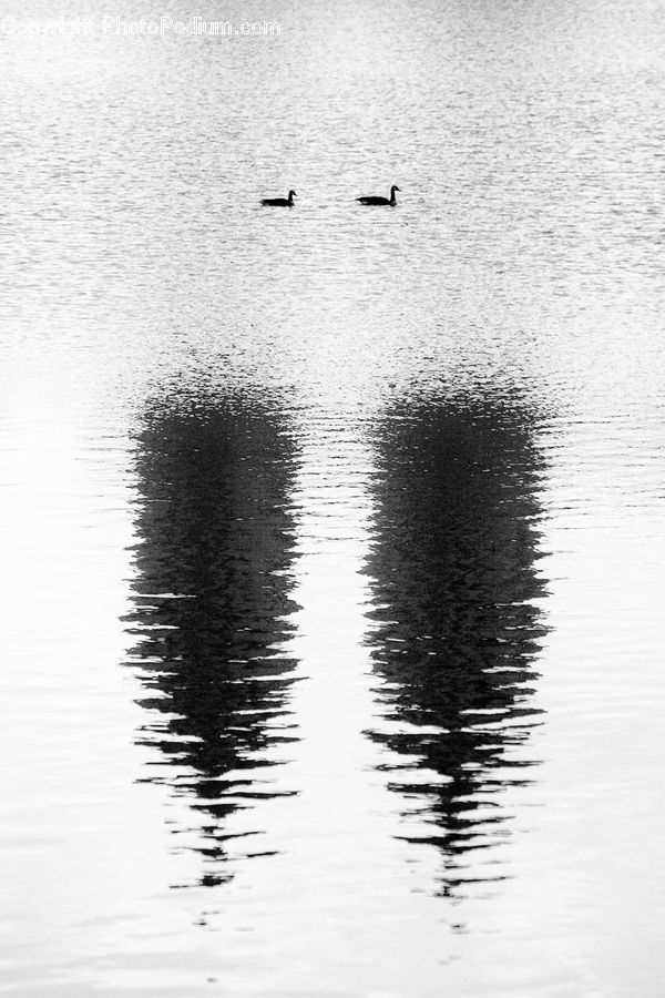Outdoors, Ripple, Water, Silhouette