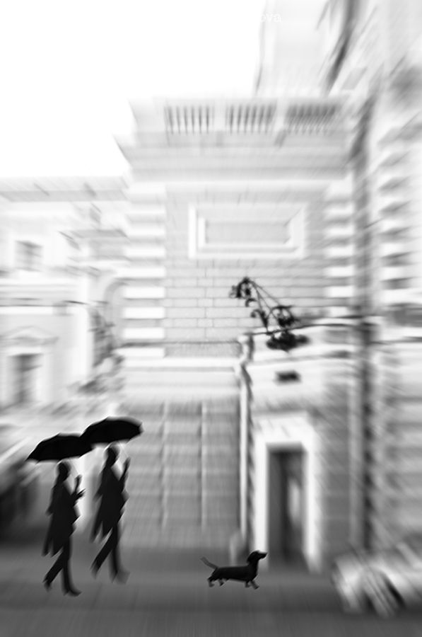 Bicycle, Bike, Vehicle, Leisure Activities, Walking, Bird, Seagull