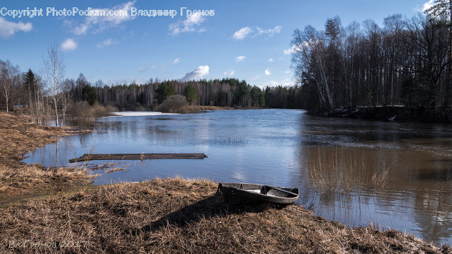 Land, Marsh, Outdoors, Swamp, Water, Lake, Dock
