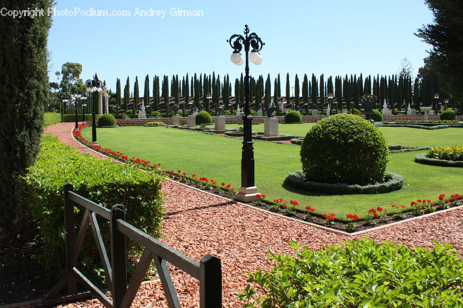 Garden, Bush, Plant, Vegetation, Park, Blossom, Flora