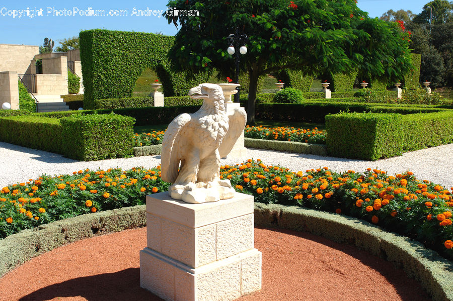 Fence, Hedge, Plant, Art, Sculpture, Statue, Blossom