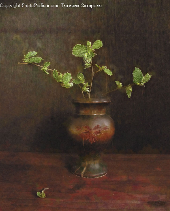 Plant, Potted Plant, Herbs, Mint, Glass, Goblet, Pot