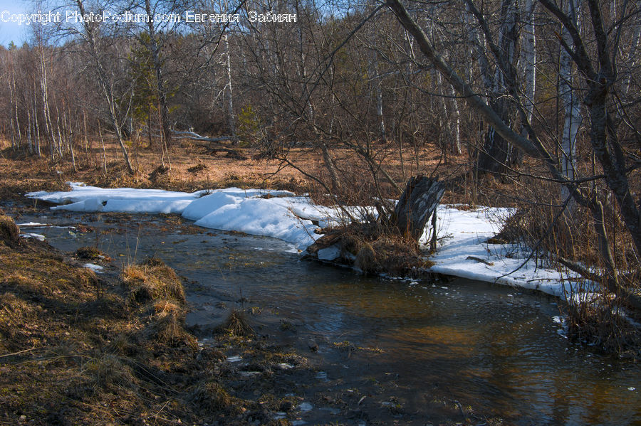 Creek, Outdoors, River, Water, Land, Marsh, Pond
