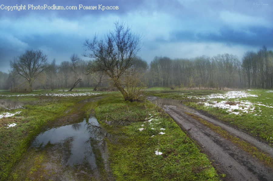 Dirt Road, Gravel, Road, Ditch