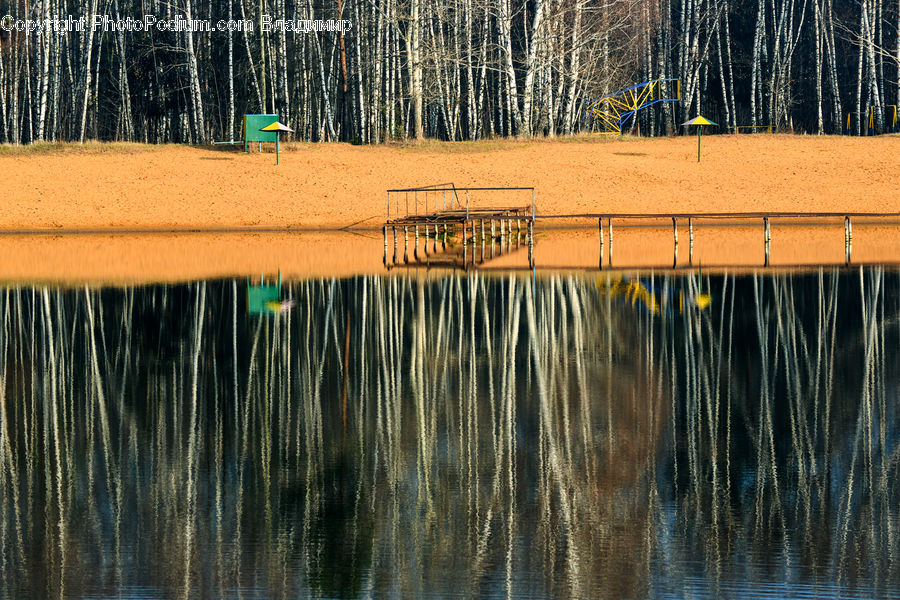 Land, Marsh, Outdoors, Swamp, Water, Grass, Plant