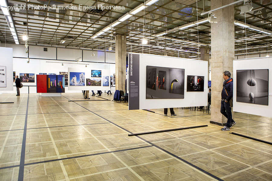 Art, Art Gallery, Airport Terminal, Terminal, Modern Art, Housing, Indoors